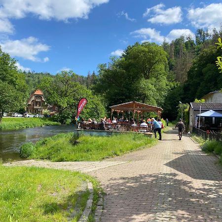 Pension Sternschnuppe, Treseburg Harz, Unmittelbar Am Wasser 탈레 외부 사진