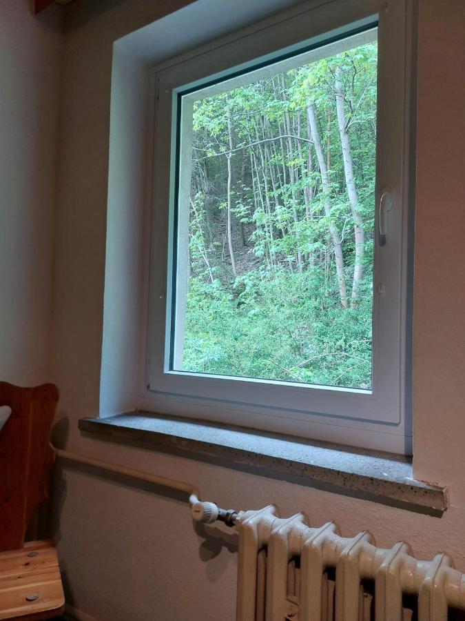 Pension Sternschnuppe, Treseburg Harz, Unmittelbar Am Wasser 탈레 외부 사진