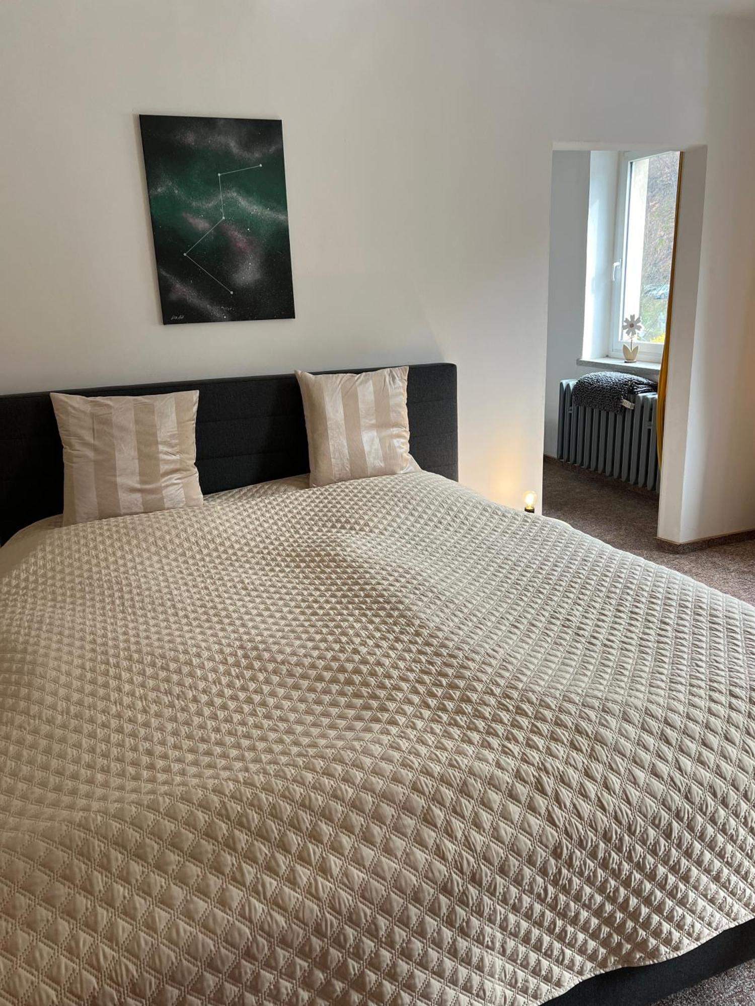 Pension Sternschnuppe, Treseburg Harz, Unmittelbar Am Wasser 탈레 외부 사진