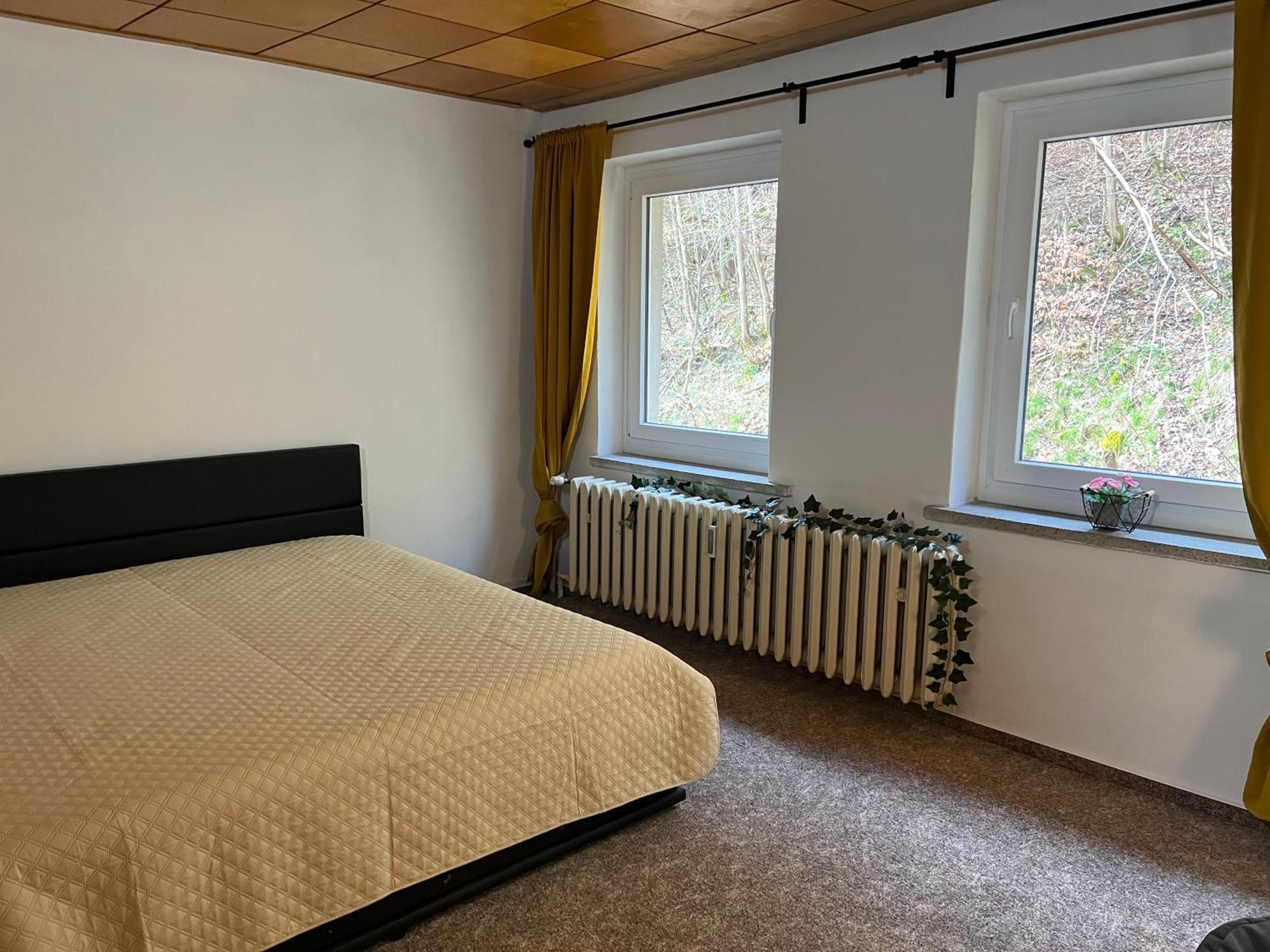 Pension Sternschnuppe, Treseburg Harz, Unmittelbar Am Wasser 탈레 외부 사진