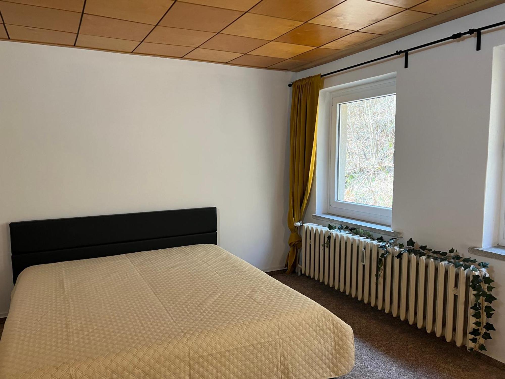 Pension Sternschnuppe, Treseburg Harz, Unmittelbar Am Wasser 탈레 외부 사진