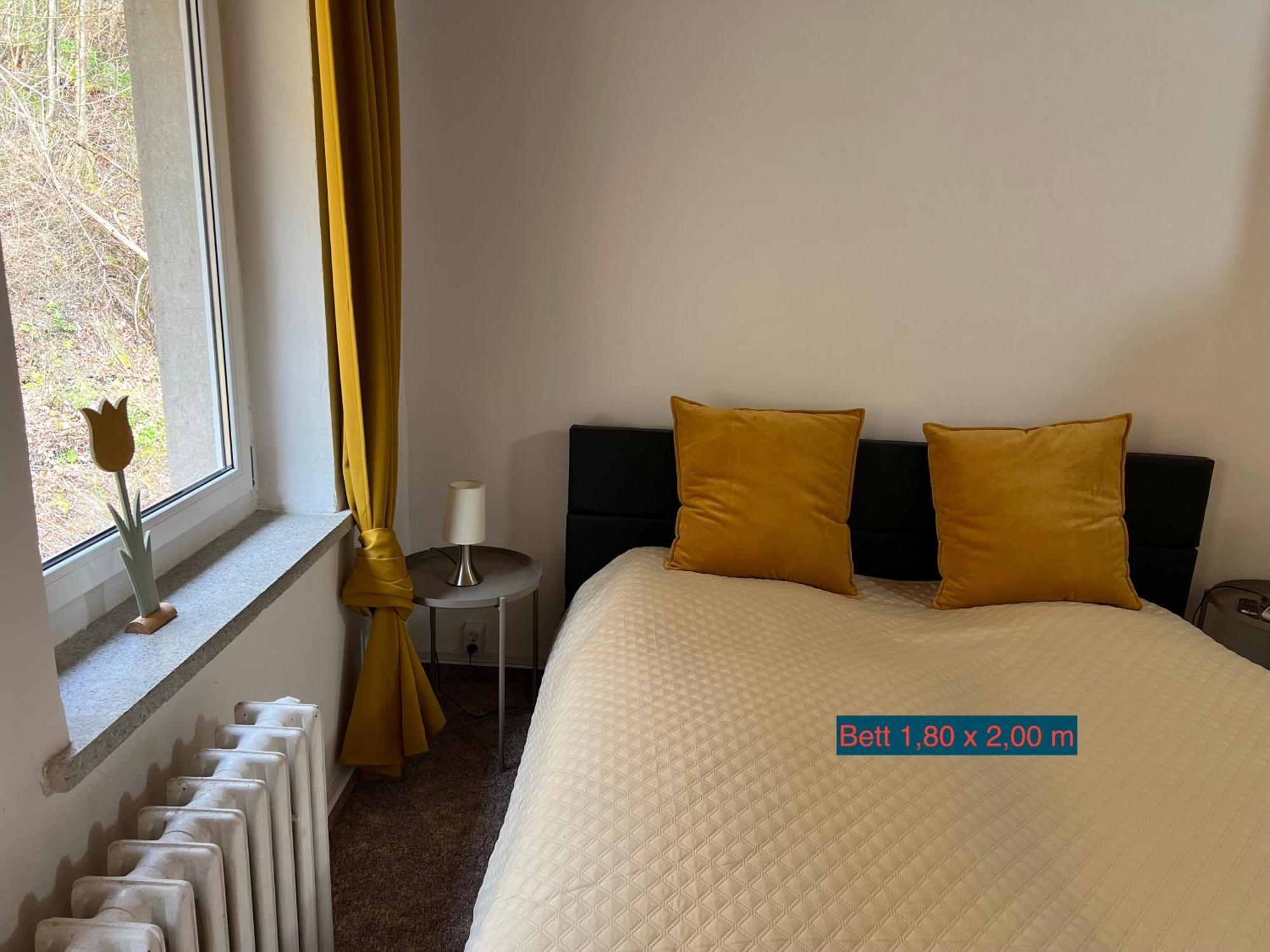 Pension Sternschnuppe, Treseburg Harz, Unmittelbar Am Wasser 탈레 외부 사진