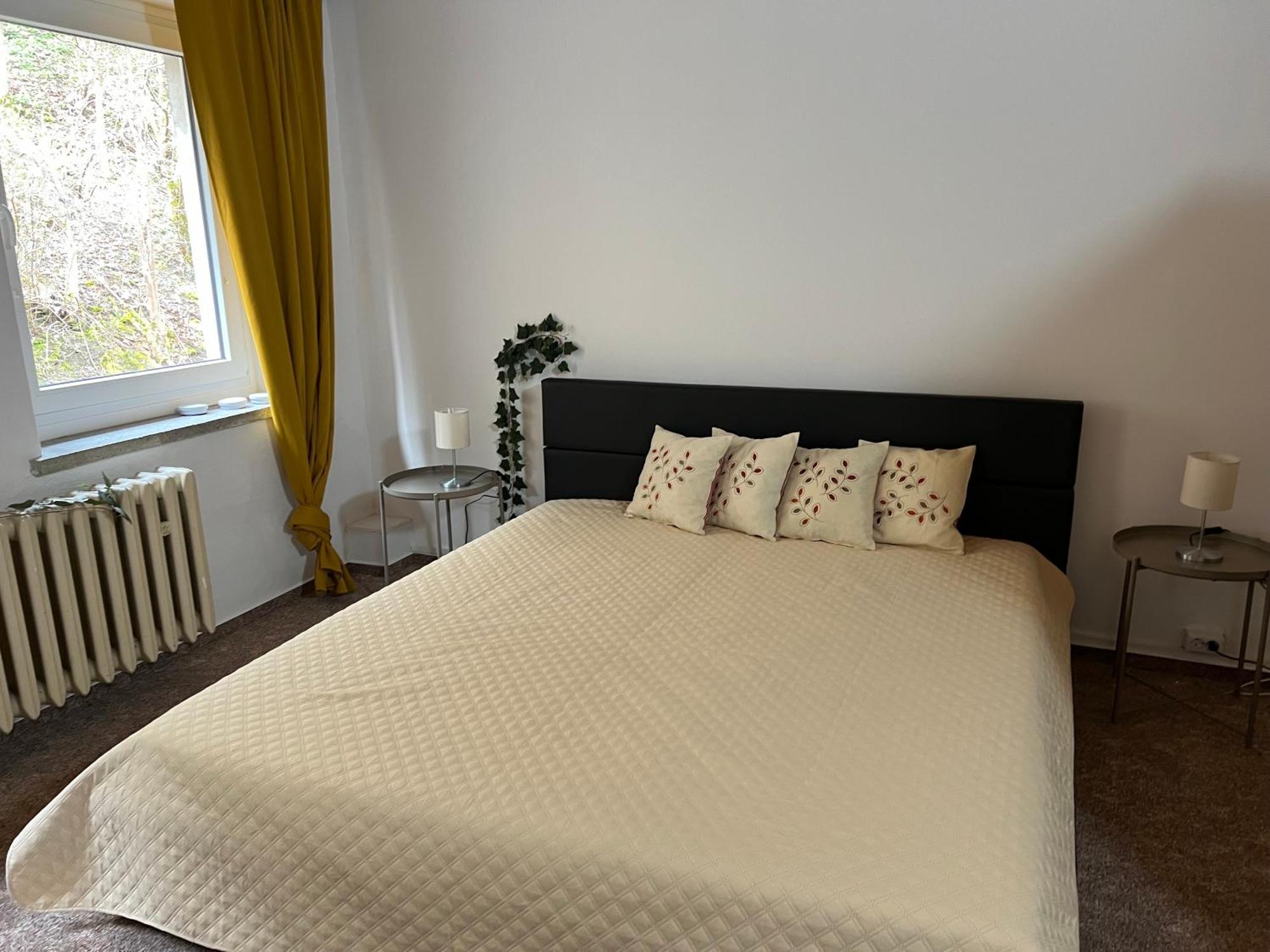 Pension Sternschnuppe, Treseburg Harz, Unmittelbar Am Wasser 탈레 외부 사진