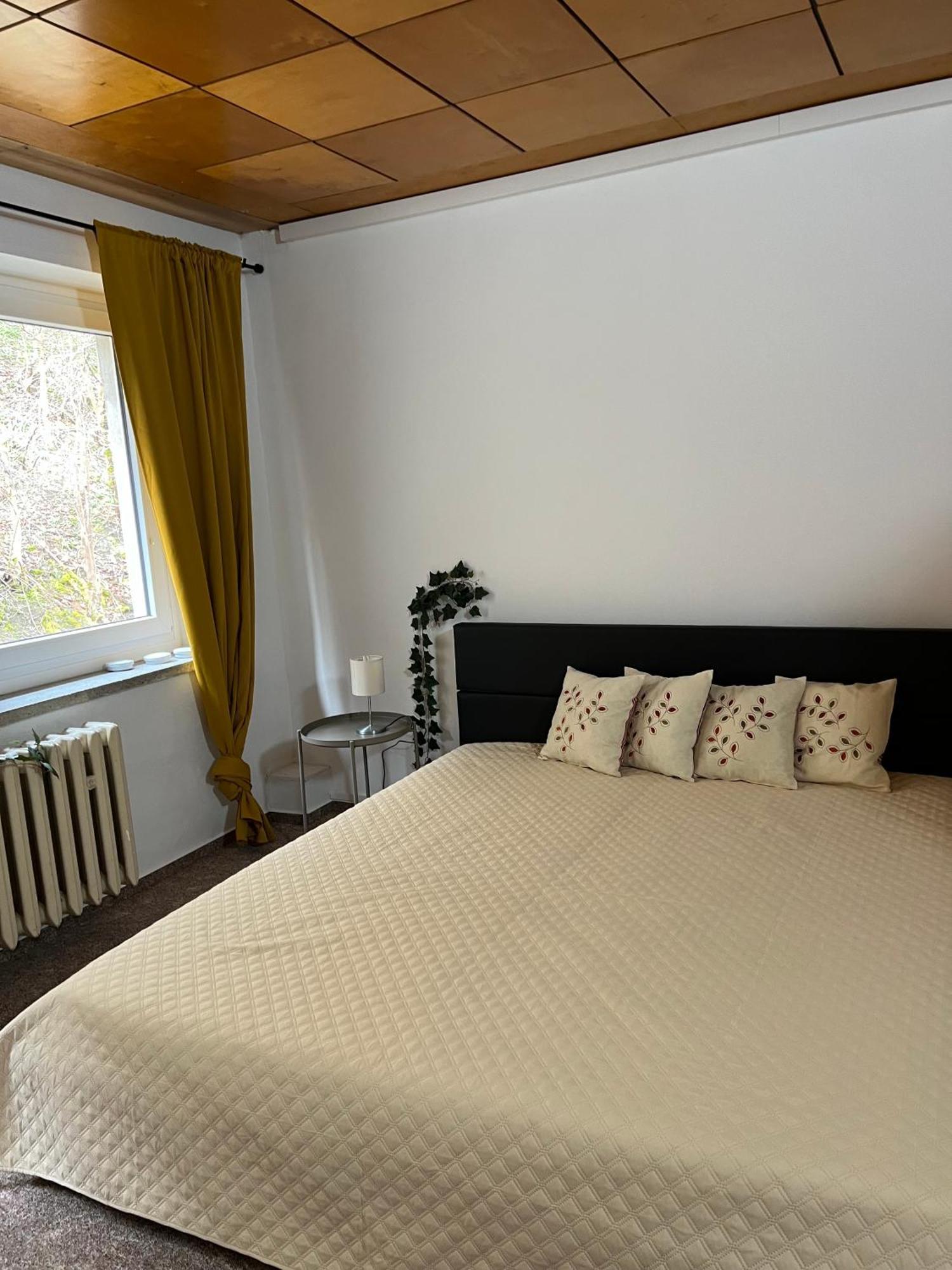 Pension Sternschnuppe, Treseburg Harz, Unmittelbar Am Wasser 탈레 외부 사진